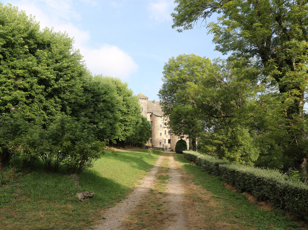Chateau de Rochebrune景点图片