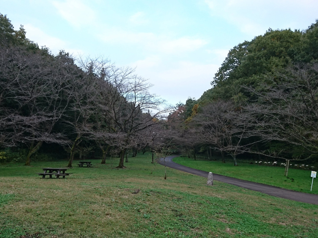 Sakuragaoka Park景点图片