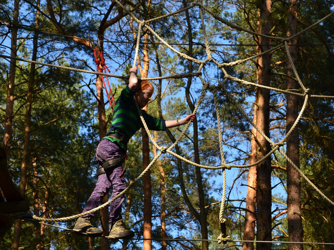 Kletterwald Schorfheide-Schorfheide必去景点