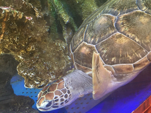 台州方远酒店式公寓主图