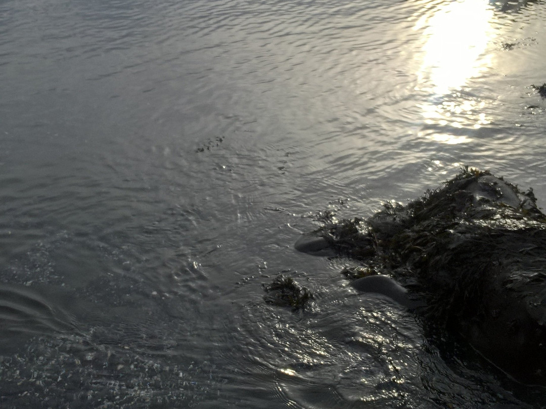 Kalfshamarsvik-Skagastrond必去景点