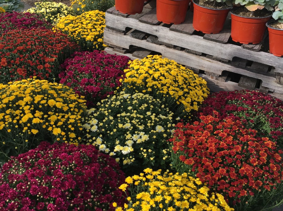 Tuttle Orchards-Greenfield必去景点