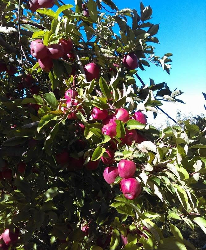Gould Hill Farm-Contoocook必去景点
