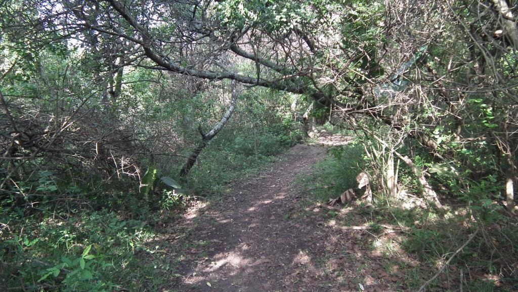 Nahoon Estuary Nature Reserve-东伦敦必去景点