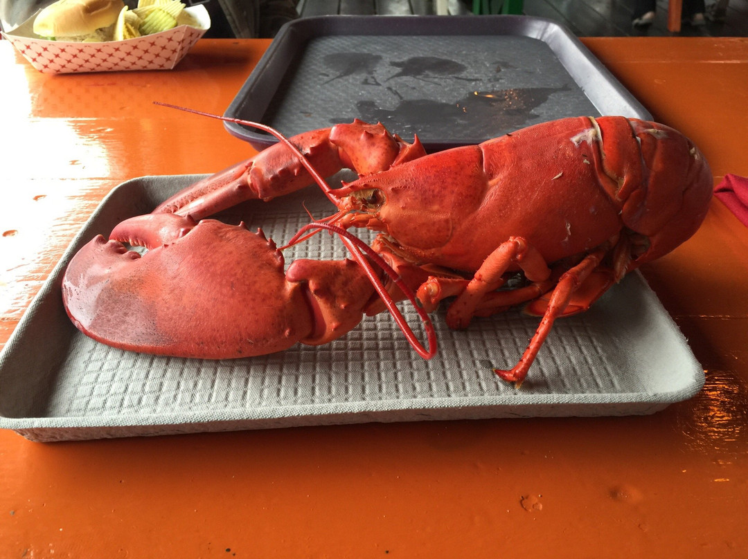 Kittery Point餐馆和美食-Chauncey Creek Lobster Pier