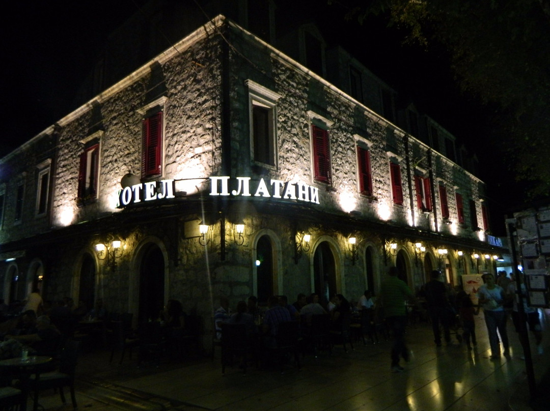 特雷比涅酒店住宿-Hotel Platani