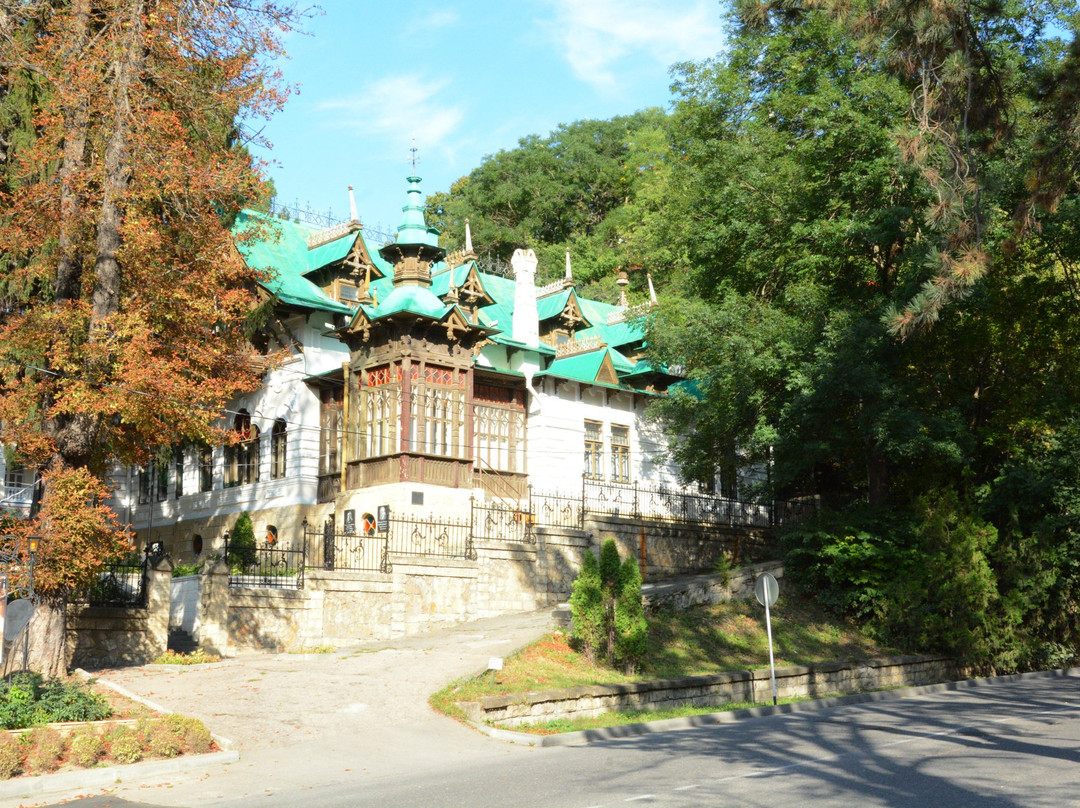Dacha Shalyapina State Historical and Cultural Museum景点图片