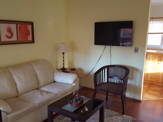 Cunco酒店住宿-Sol y Lago Apart Hotel