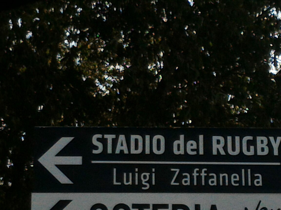 Luigi Zaffanella Stadium景点图片