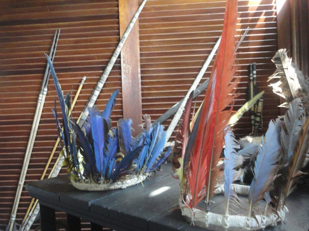 House of Peoples of the Forest-Rio Branco必去景点