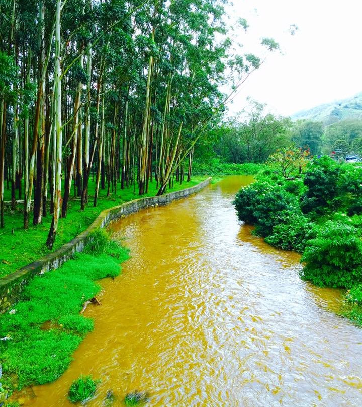 Poabs Organic Estates-Nelliyampathy必去景点