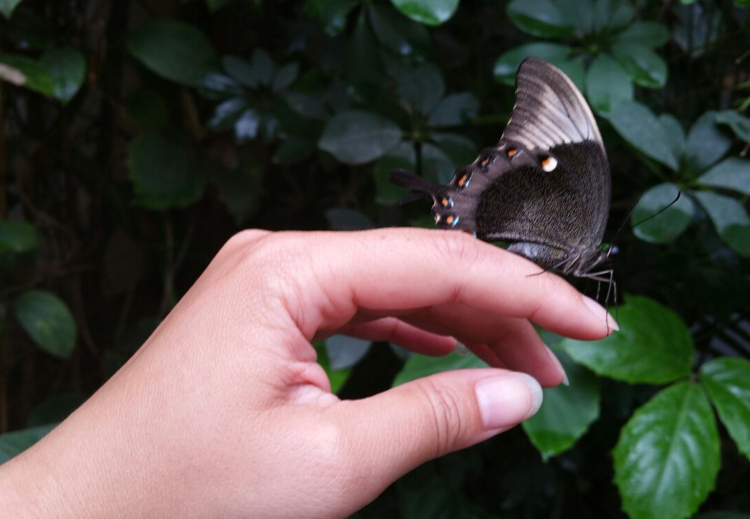 Dschungelhaus in Tirol-Terfens必去景点