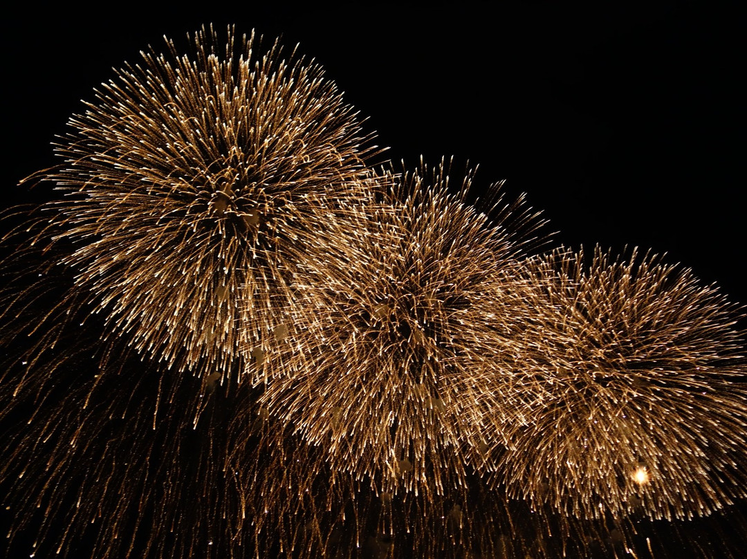 Koga Fireworks-古河市必去景点