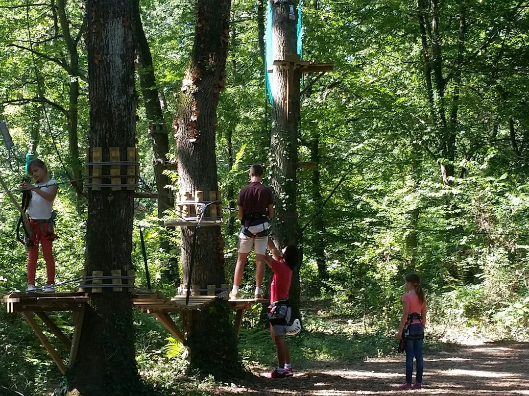Parcours Acrobatique en Hauteur Loisirs et Aventures-Talence必去景点