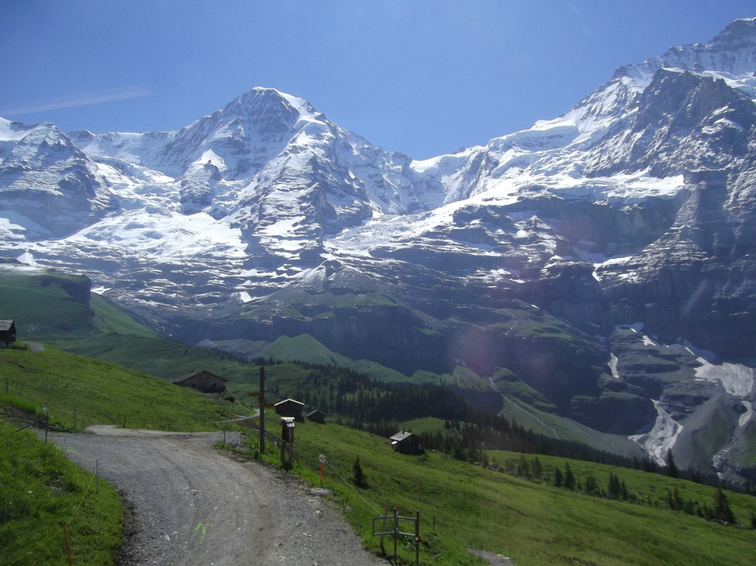 Jungfraujoch旅游攻略图片