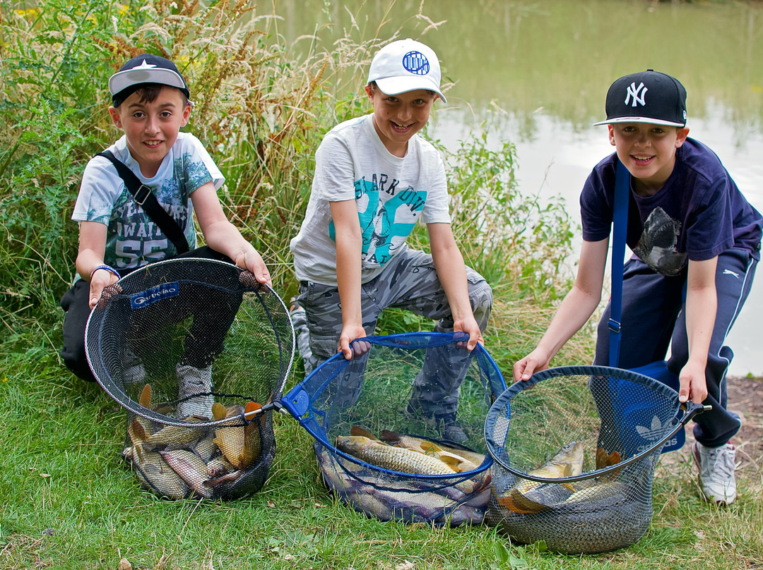 The Fishing Experience景点图片