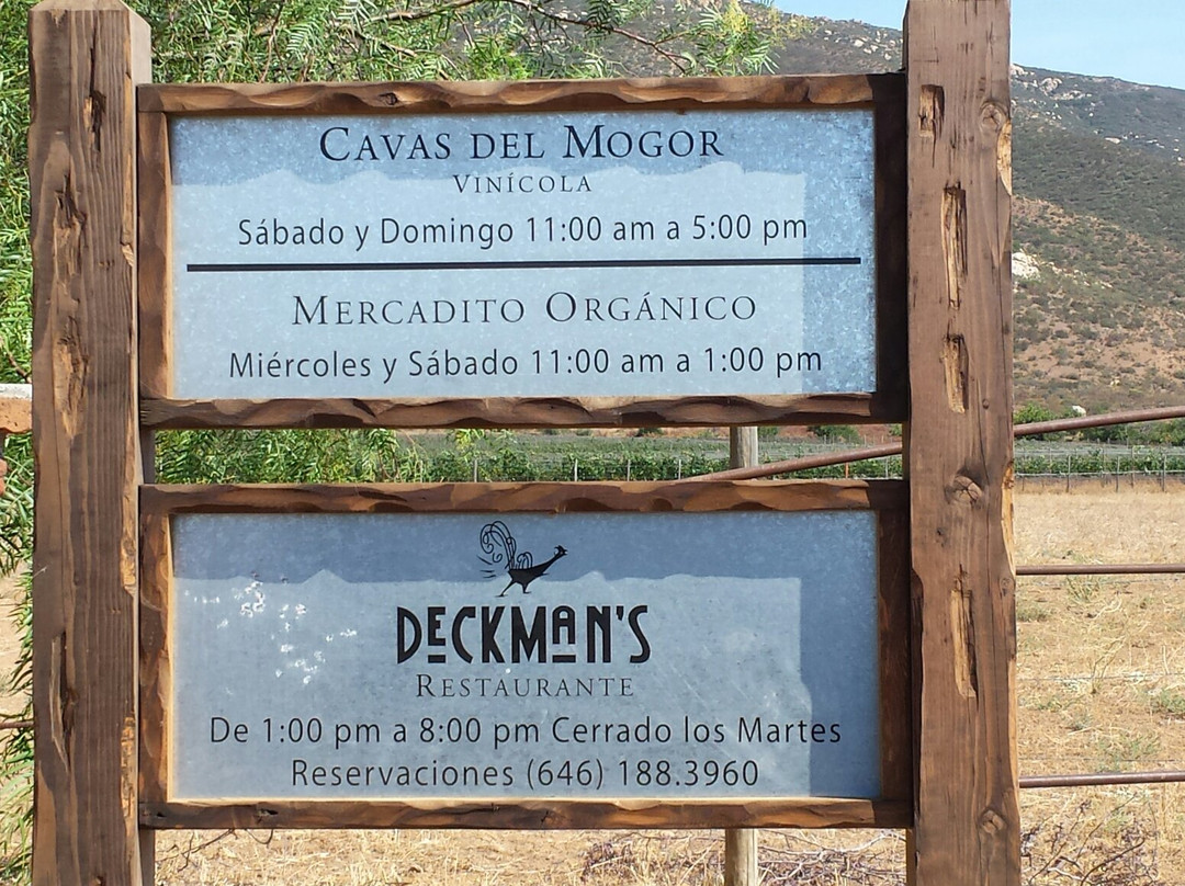 Vinicola Mogor Badan景点图片