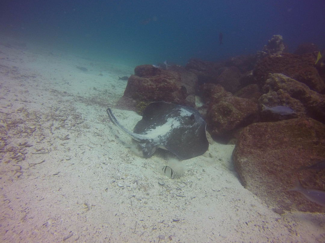 Nautidiving-阿约拉港必去景点