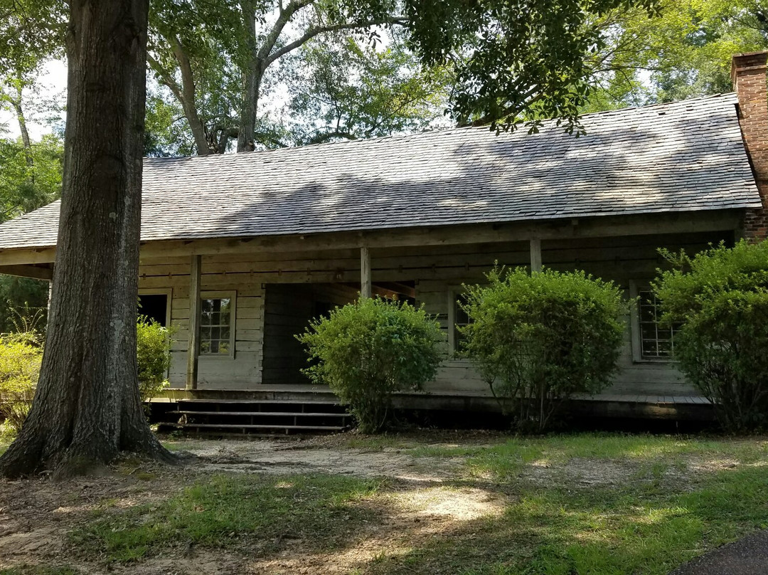 Grand Gulf Military Park景点图片