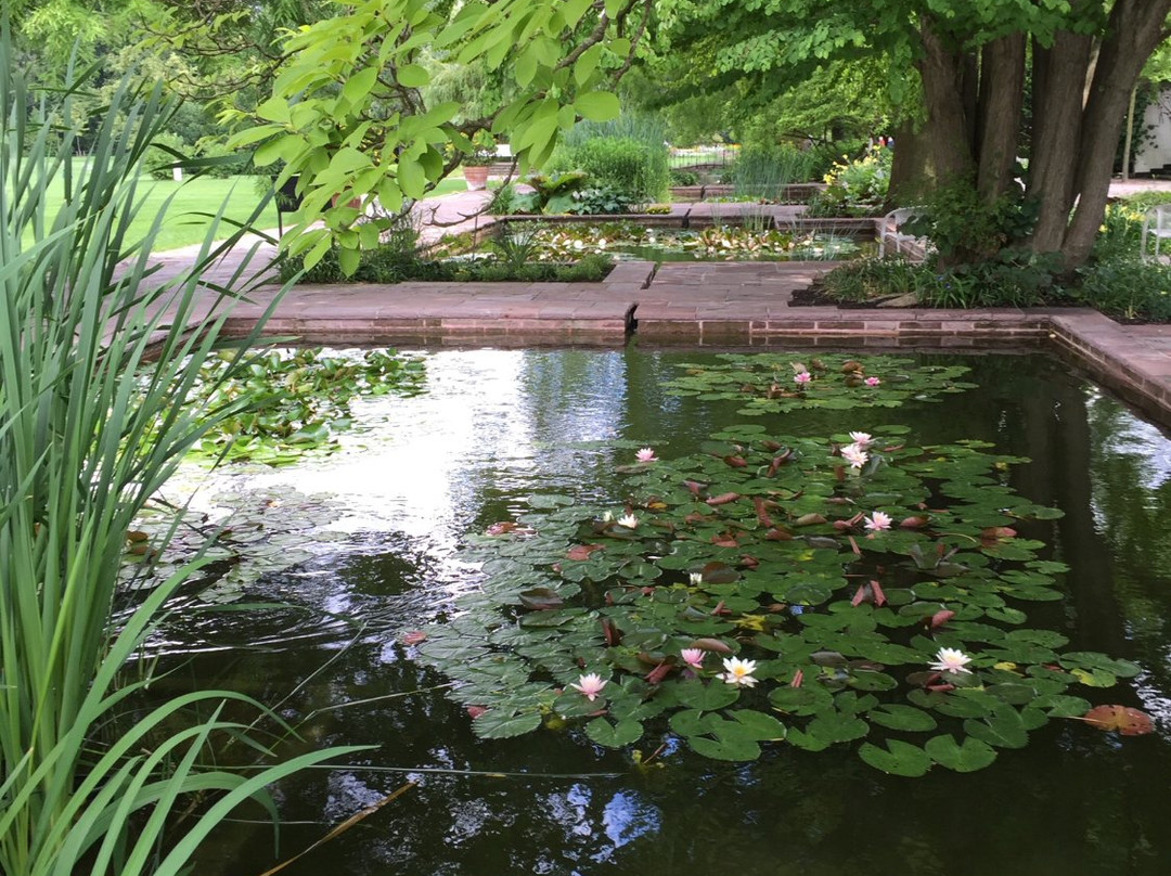 Stadtpark-汉诺威必去景点