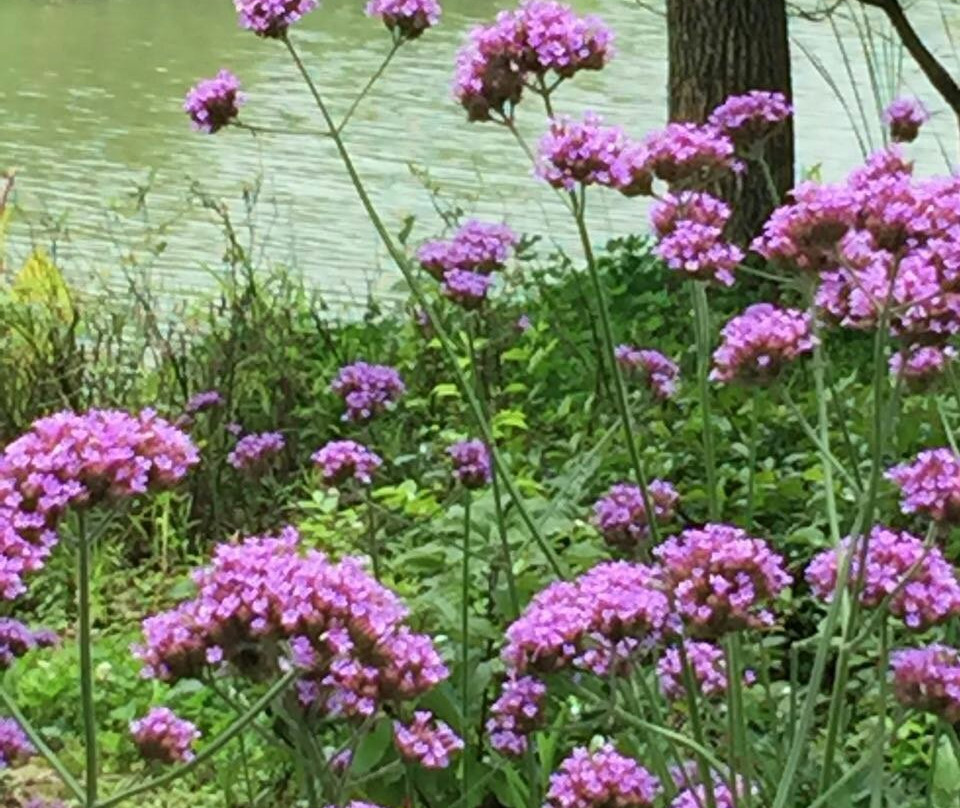 梁祝文化公园-宁波市必去景点