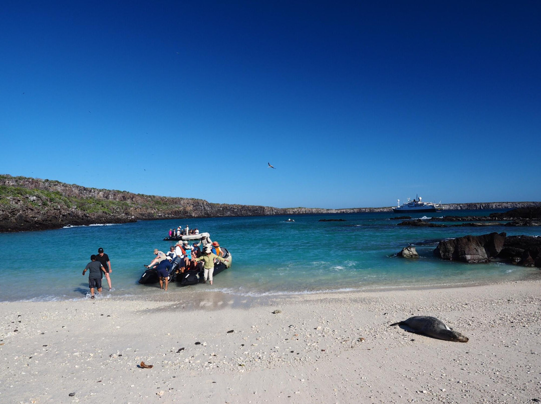 Darwin Trail-Genovesa必去景点