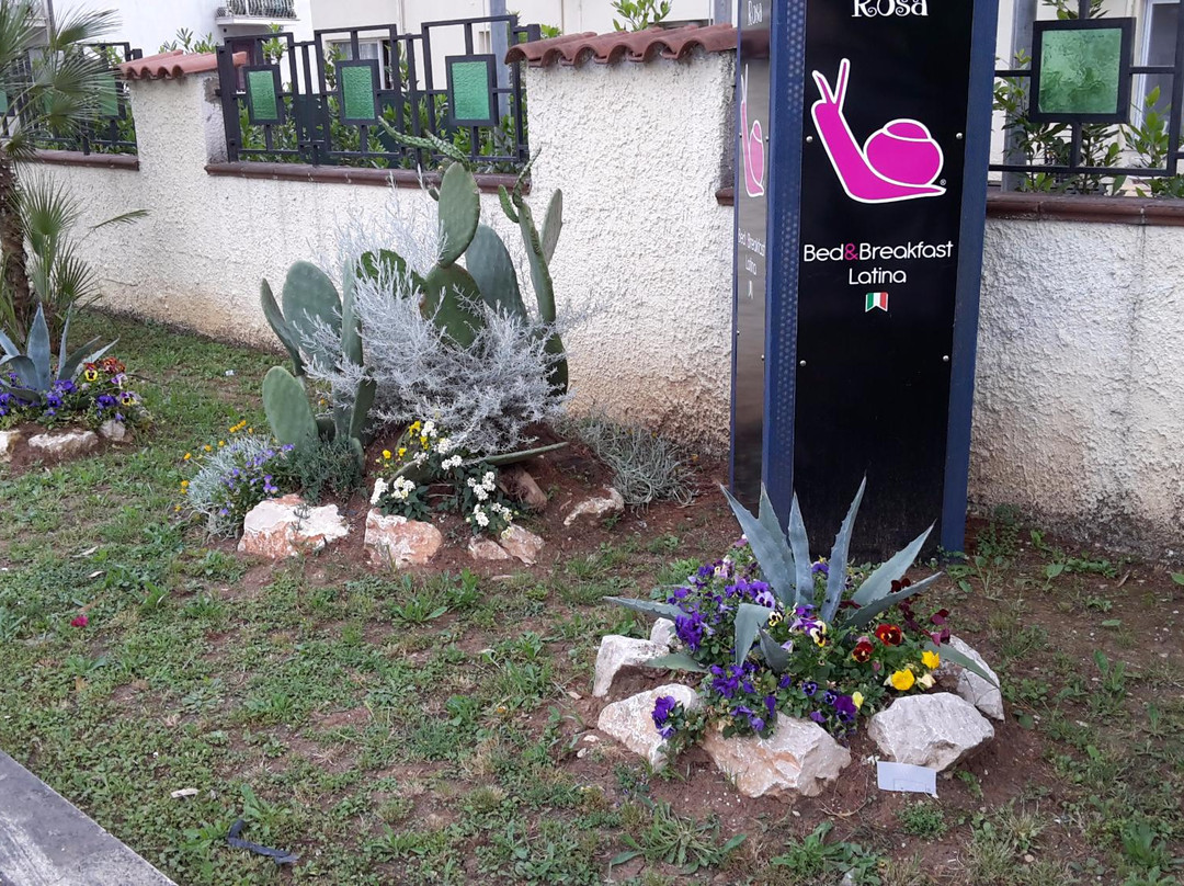 La Chiocciola Rosa Bed&Breakfast主图
