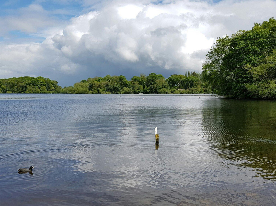 The Mere