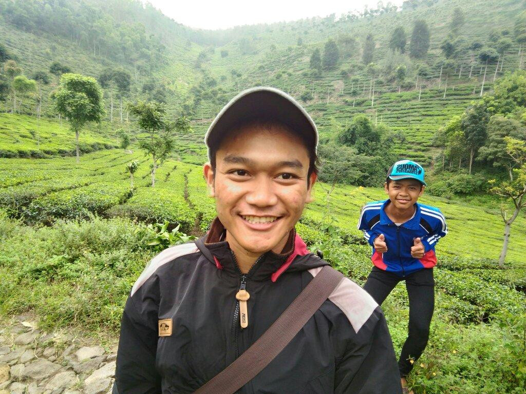 Kebun Teh Jamus (Lereng Gunung Lawu)景点图片
