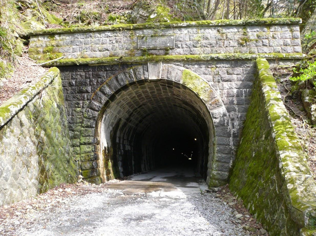 Mt. Amagi Tunnel (Former Amagi Tunnel)-伊豆市必去景点