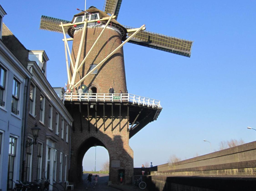 Rijn en Lek Windmill-Wijk bij Duurstede必去景点