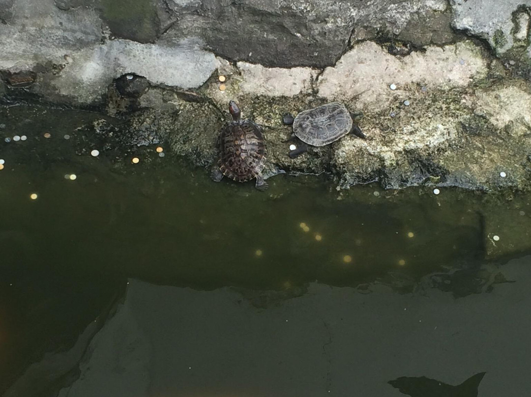 天津城隍庙-天津市必去景点