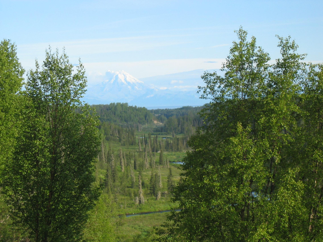 Meander In B&B主图