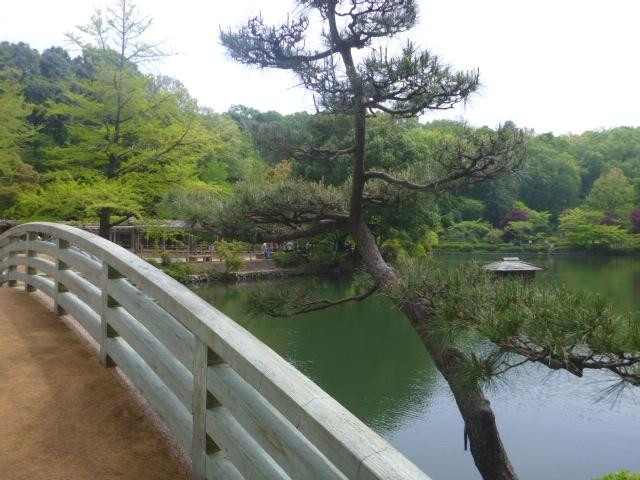 Machida City Minken no Mori Park-町田市必去景点