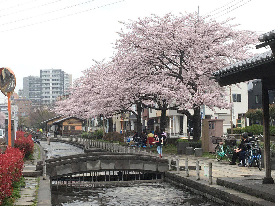 Hikifunegawa Water Park-葛饰区必去景点