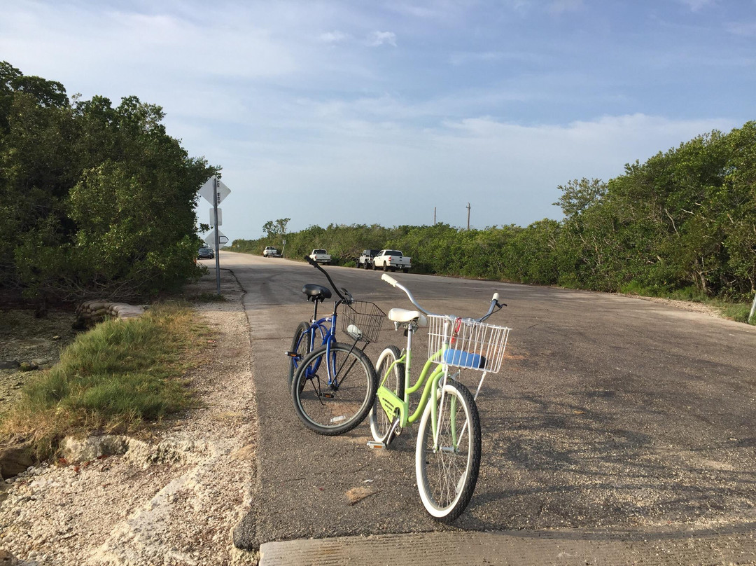 Walkabout Retreats Gear Rentals-Cudjoe Key必去景点