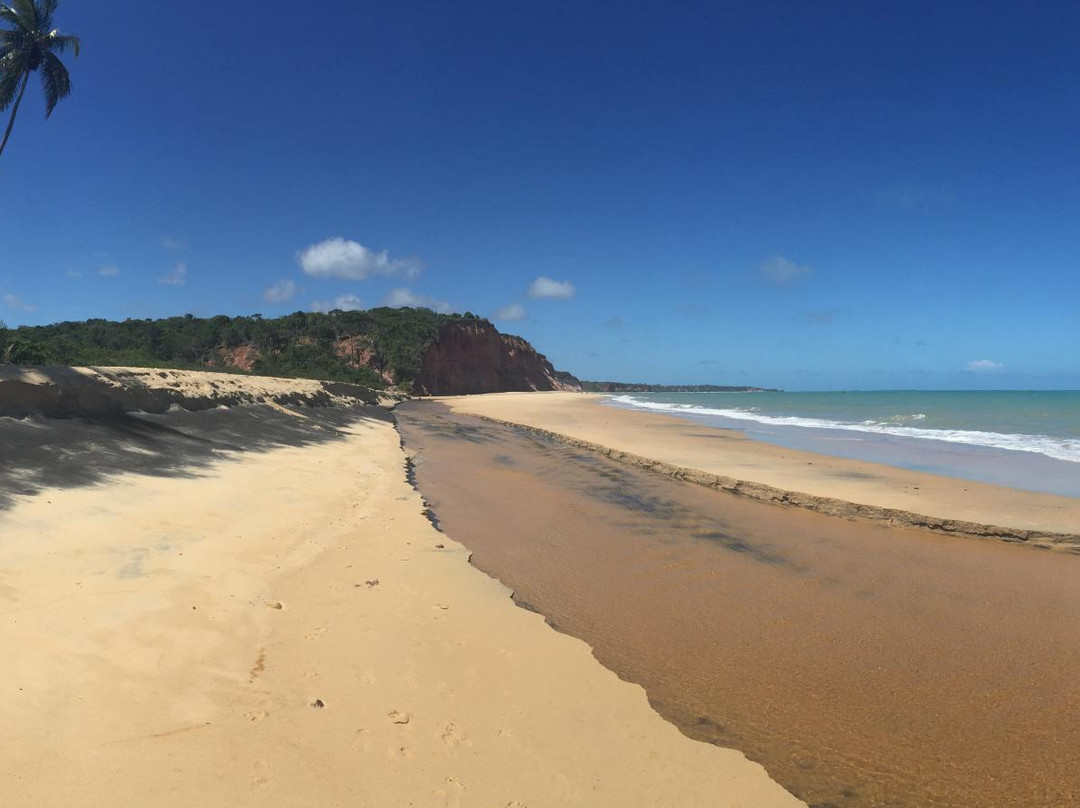 Japara Mirim Beach-Cumuruxatiba必去景点