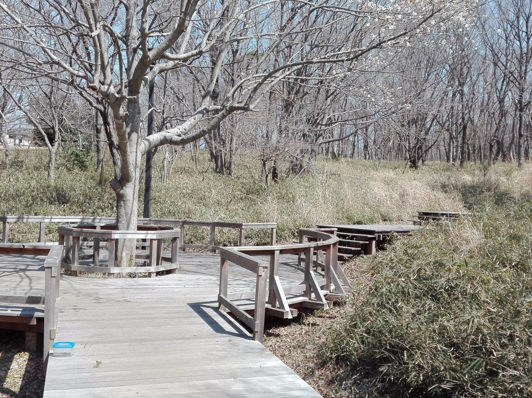 Hebinuma Park景点图片