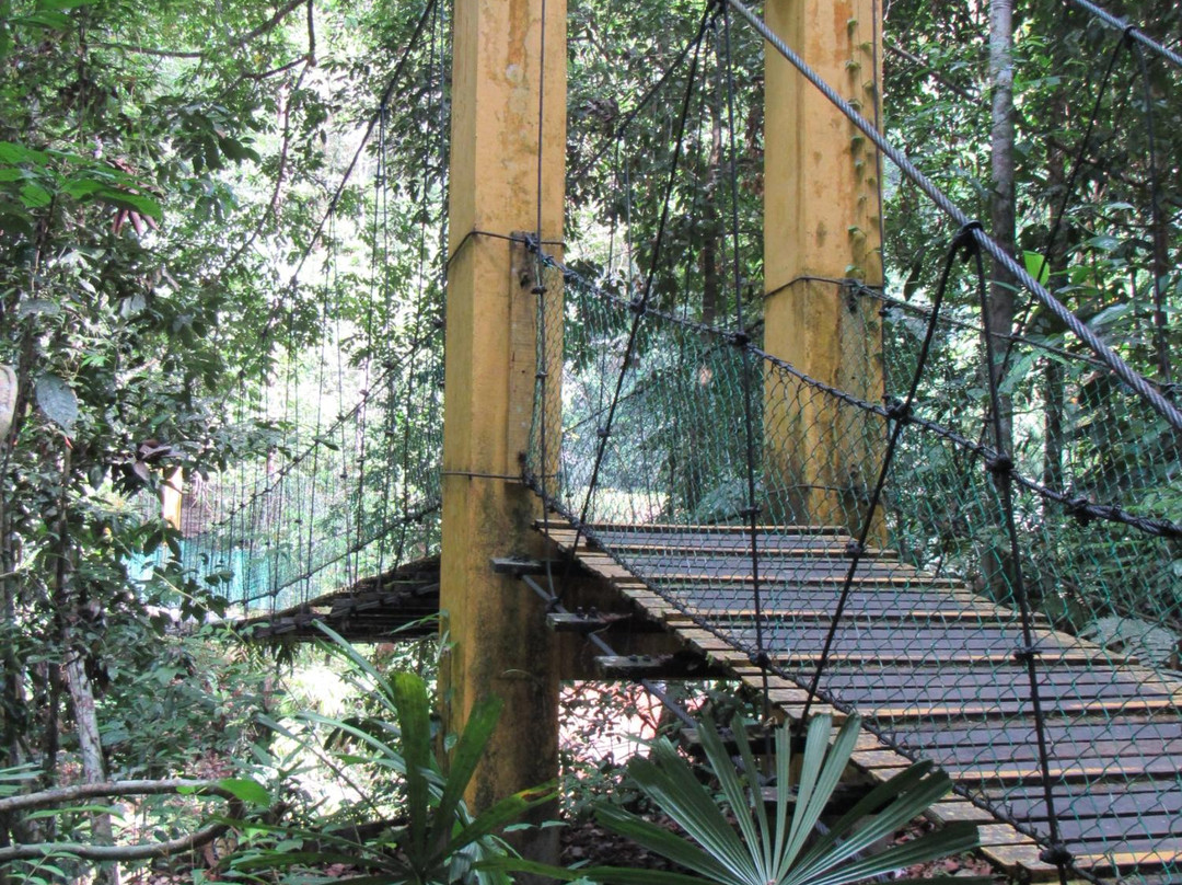 Clearwater Connection-姆鲁国家公园必去景点