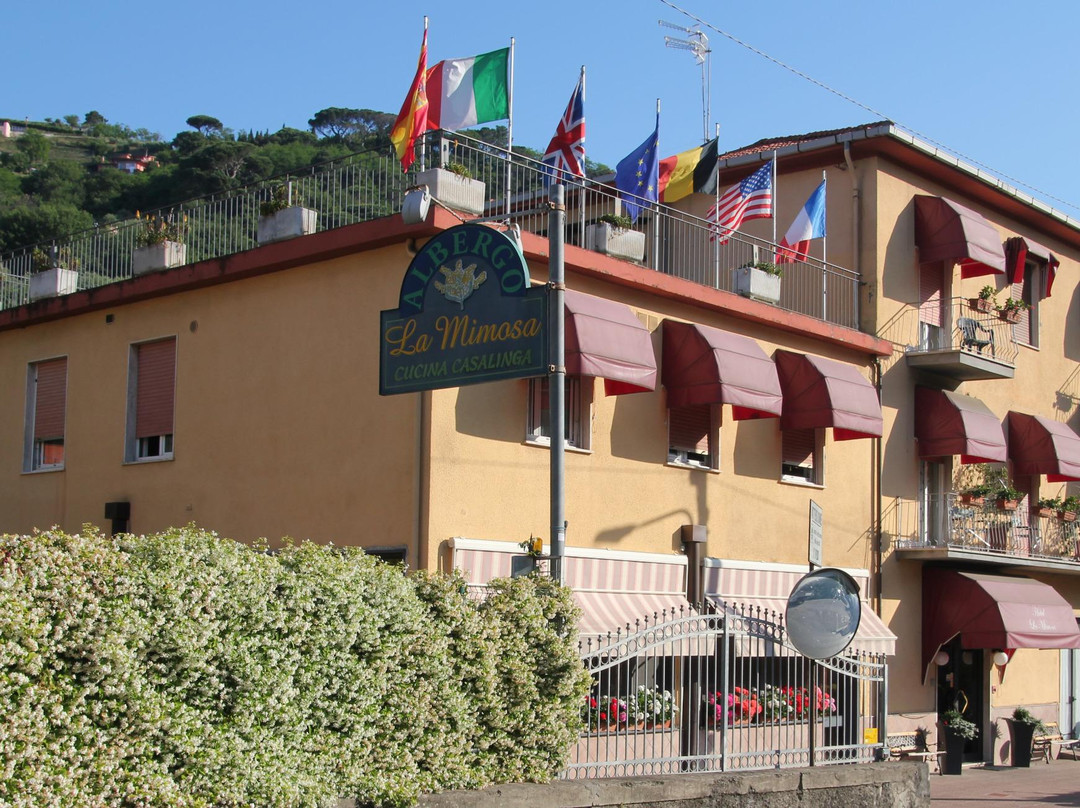 Albergo La Mimosa主图