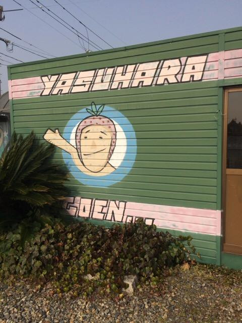 Yasuhara Strawberry Farm-仓敷市必去景点