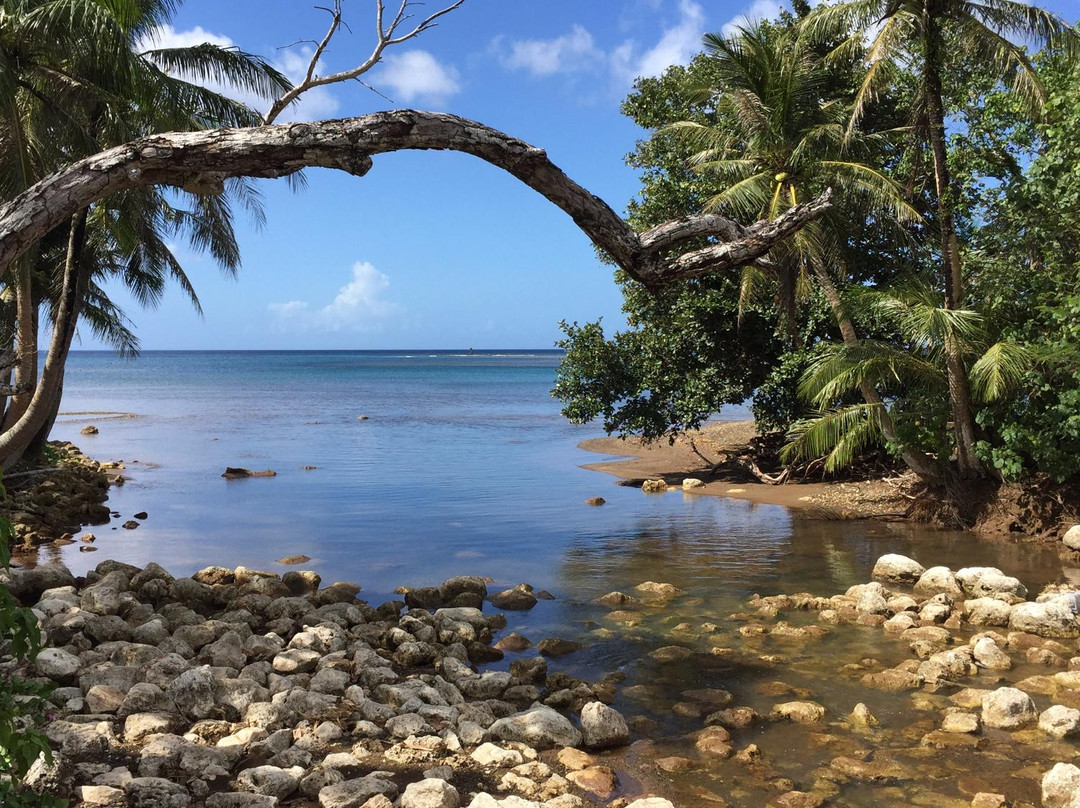 Agat旅游攻略图片