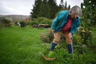 Apple Pond Farm-Callicoon Center必去景点