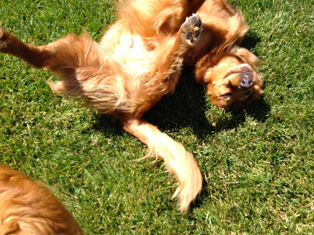 West Side Park-尚贝恩必去景点