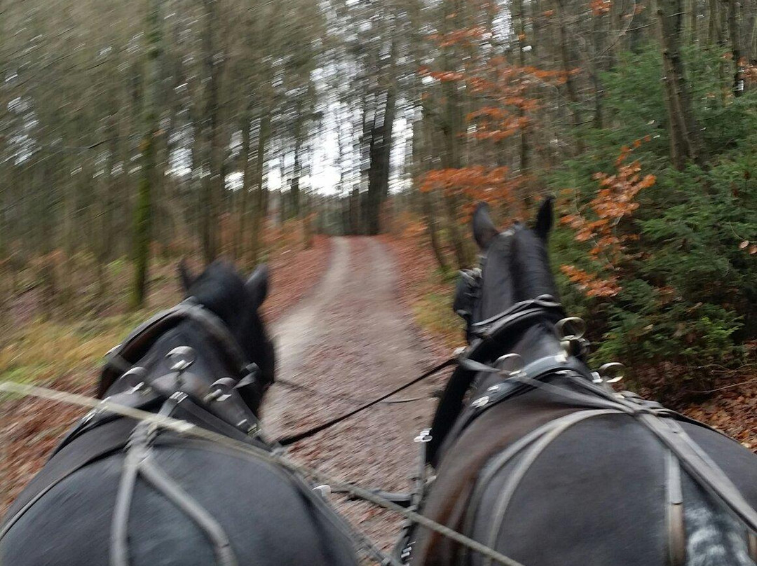 Coaching in Bavaria-Pahl必去景点