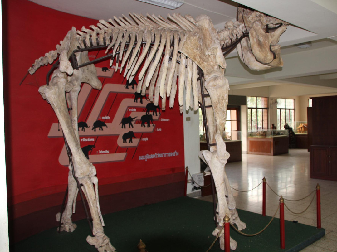 Lower Northeastern Cultural Centre景点图片