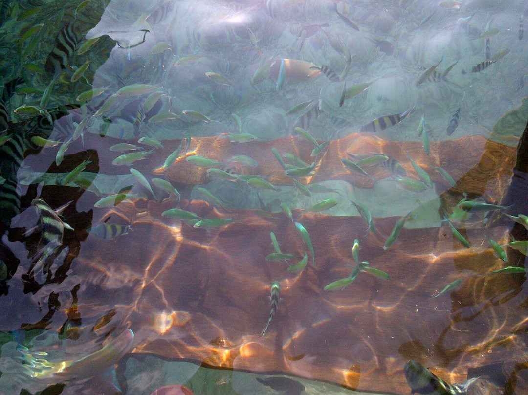 Sawinggrai Village-索龙必去景点