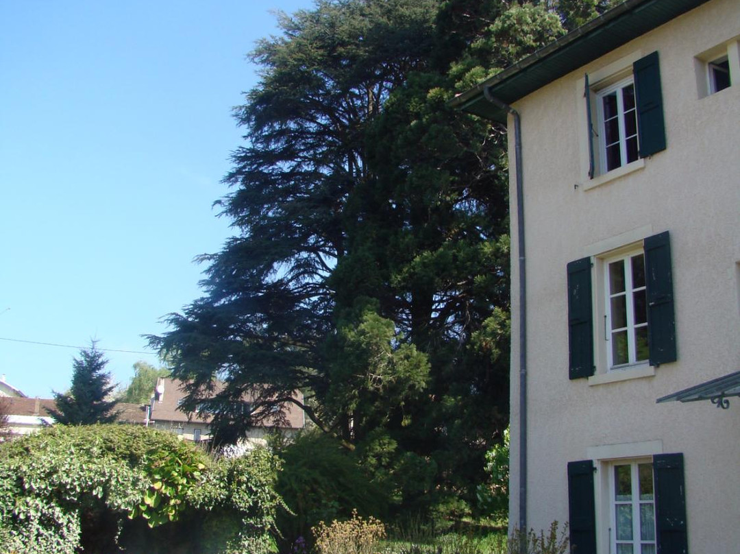 Villa Jeannette主图