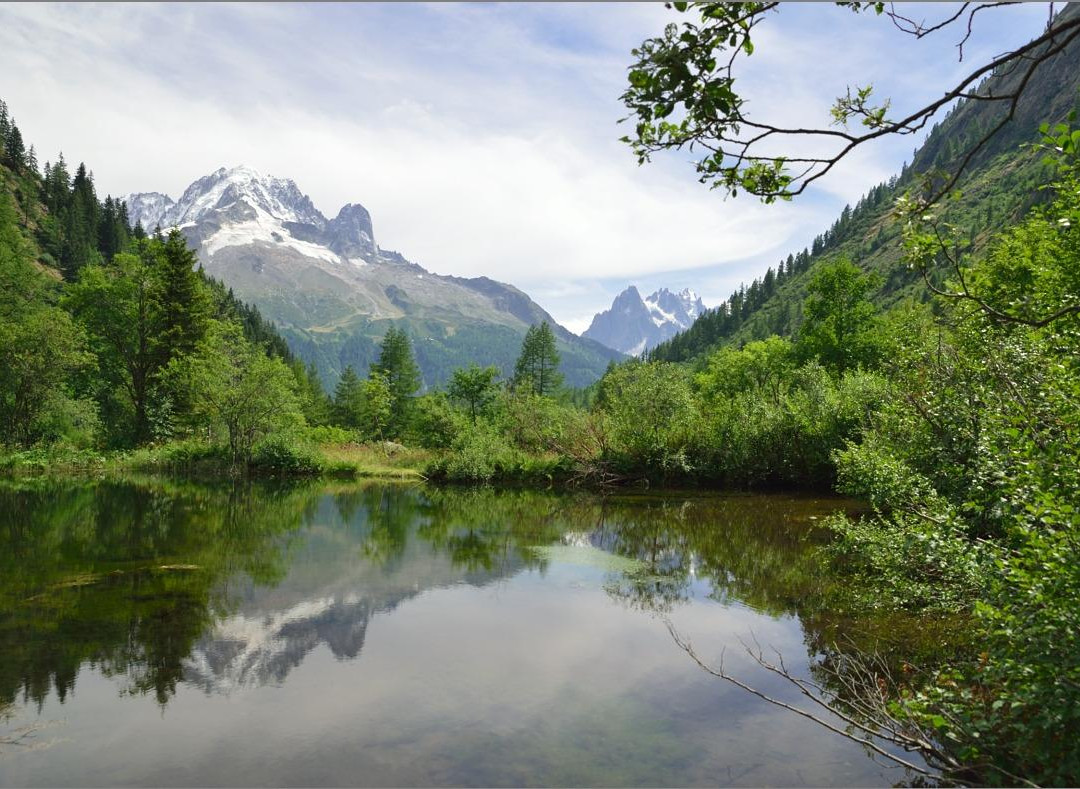 Reserve naturelle des Aiguilles Rouges-霞慕尼必去景点
