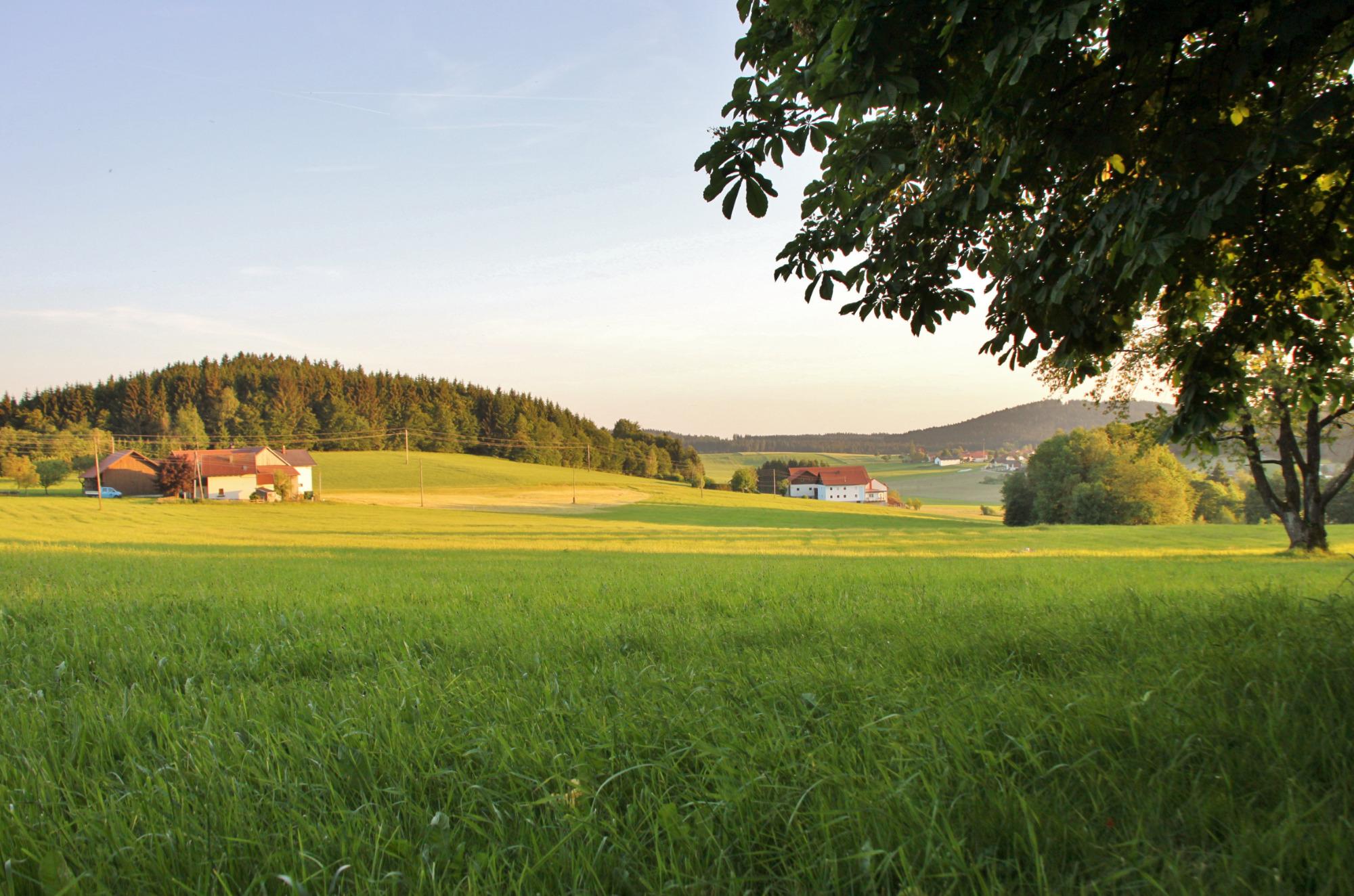 Gasthof-Pension "Zum Haugstein" - Familie Eder-浴室